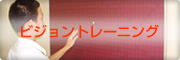 �r�W�����g���[�j���O